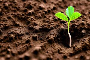 mano es participación el suelo verde paz generativo ai foto