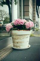 a flower pot decoration in front of a shop window in the city photo