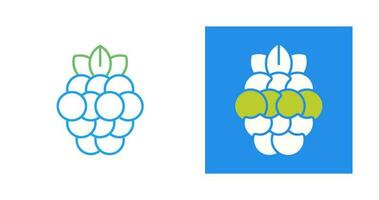 Raspberry Vector Icon