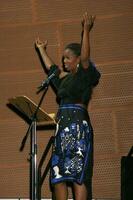 The Black AIDS Institute Gala Disney Concert Hall Los Angeles CA February 7 2008 2008 Kathy Hutchins Hutchins Photo