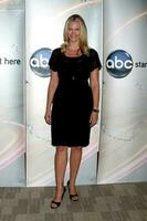 Natasha Henstridge at the Disney  ABC Television Group Summer Press Junket at the ABC offices in Burbank CA on May 29 2009 2009 Kathy Hutchins Hutchins Photo