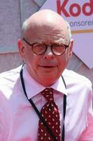 Wallace Shawn arrives at the Toy Story 3 World Premiere El Capitan Theater Los Angeles CA June 13 2010 photo