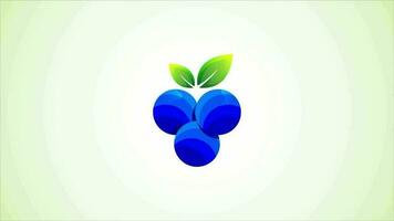 Colorful blueberry logo design template. Blueberry logo video animation