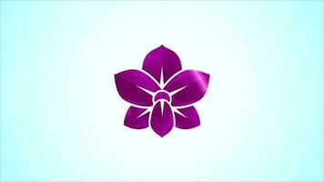 Colorful Orchid flower logo design template video animation