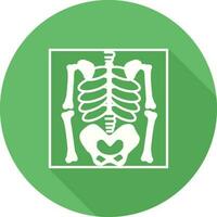 Skeleton Vector Icon