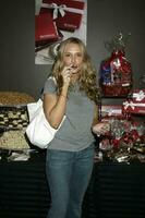 Brooke Mueller GBK Emmy Gifting Suite Hollywood Roosevelt Hotel Los Angeles CA September 13 2007 2007 Kathy Hutchins Hutchins Photo