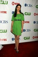 Shanna Collins arriving at the CBS TCA Summer 08 Party at Boulevard 3 in Los Angeles CA on July 18 2008 2008 Kathy Hutchins Hutchins Photo