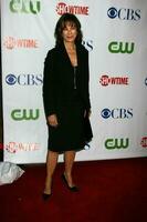 Anne Archer arriving at the CBS TCA Summer 08 Party at Boulevard 3 in Los Angeles CA on July 18 2008 2008 Kathy Hutchins Hutchins Photo