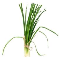 A bunch of green onions tied with a rope on a white isolated background photo