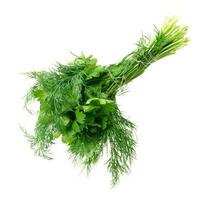 A bunch of parsley and dill on a white isolated background photo