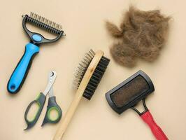Animal trimmer and a tuft of gray wool on a blue background, top view. Item for grooming photo