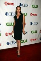 Molly Parker arriving at the CBS TCA Summer 08 Party at Boulevard 3 in Los Angeles CA on July 18 2008 2008 Kathy Hutchins Hutchins Photo