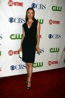 Molly Parker arriving at the CBS TCA Summer 08 Party at Boulevard 3 in Los Angeles CA on July 18 2008 2008 Kathy Hutchins Hutchins Photo