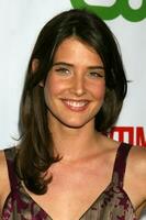 Cobie Smulders arriving at the CBS TCA Summer 08 Party at Boulevard 3 in Los Angeles CA on July 18 2008 2008 Kathy Hutchins Hutchins Photo