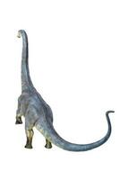 dinosaur , Brontosaurus isolated background photo