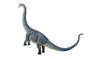 dinosaur , Brontosaurus isolated background photo