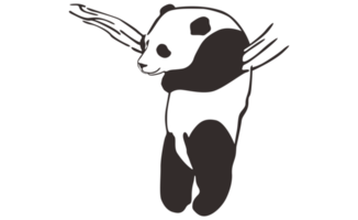 Cute and adorable panda Line Art on a transparent background png