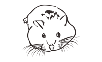 Hamsters Line Art With Transparent Background png