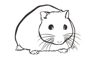 Hamsters Line Art With Transparent Background png