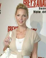 Katherine HeiglGreys Anatomy 1st Season DVD Release PartyGeisha HouseLos Angeles CAFebruary 13 20062006 photo