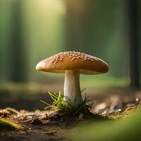 realistic mushroom photograph grows in the jungle photo