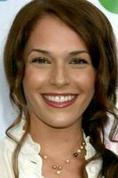 Amanda Righetti arriving at the CBS TCA Summer 08 Party at Boulevard 3 in Los Angeles CA on July 18 2008 2008 Kathy Hutchins Hutchins Photo