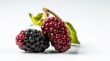 Blackberries and blackberries on a white background, close-up photo