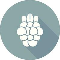 Raspberry Vector Icon