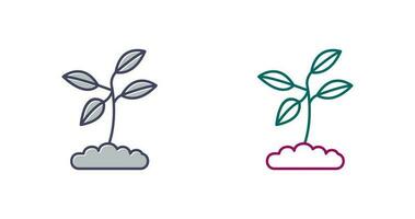 Plant Vector icon