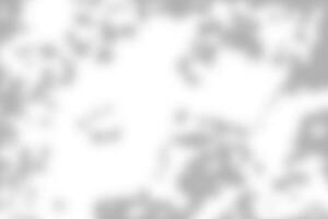 Sunlight shadow on abstract white wall background texture photo