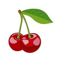 Cherries. Vector illustration isolated on white background. Icon in cartoon style