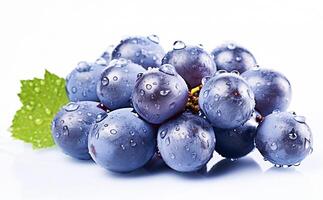 . Blue wet grapes bunch photo