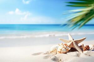 . Shells and starfish on sandy beach photo