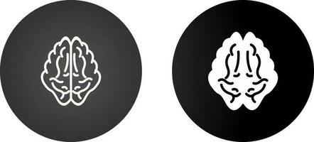 Brain Vector Icon