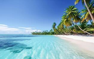 . Beautiful beach and tropical sea photo