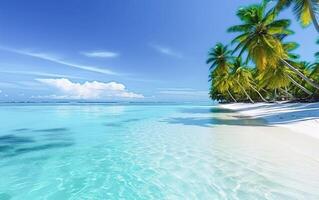 . Beautiful beach and tropical sea photo