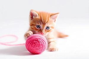 . Small red kitten is played with a ball of yarn photo