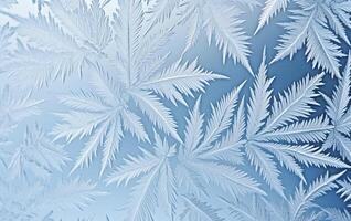 . Frost pattern on glass photo