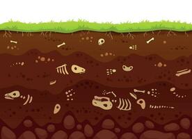 Archeology bones in soil layers. Buried fossil animals, dinosaur skeleton bone in dirt and underground clay layer vector illustration