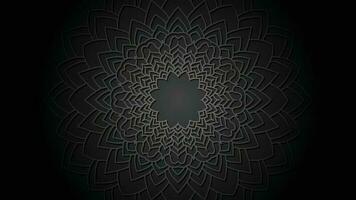 Black and White Mandala Background vector