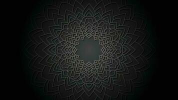 Black and White Mandala Background vector