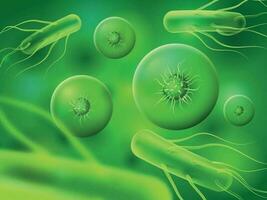 Realistic bacteria and cells. Green microscopic biology or micro nature organisms. Abstract biological cell background vector