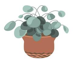 Flower with leaves, potted houseplants vector