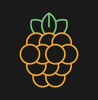 Raspberry Vector Icon