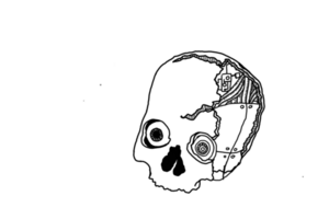 cyborg cráneo línea Arte con transparente antecedentes png