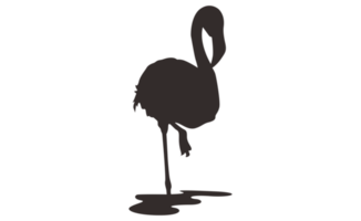 Flamingo Bird Silhouette On Transparent Background png