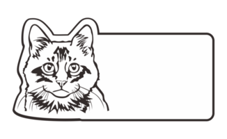 Room Name Plate With Cute Cat Theme On Transparent Background png