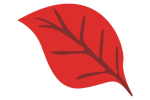 Autumn Leaf With Transparent Background png