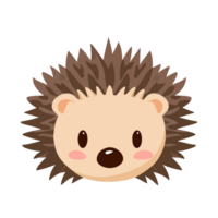 Hedgehog face  icon clipart transparent background png