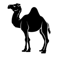 kameel zwart en wit icoon clip art transparant achtergrond png